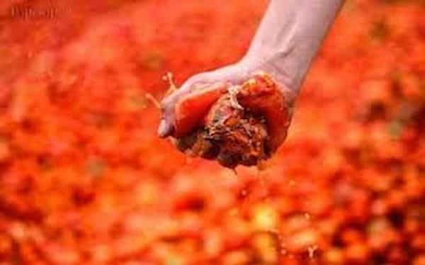 تصویر 5 از خرید رب گوجه فرنگی طبیعی + قیمت فروش استثنایی
